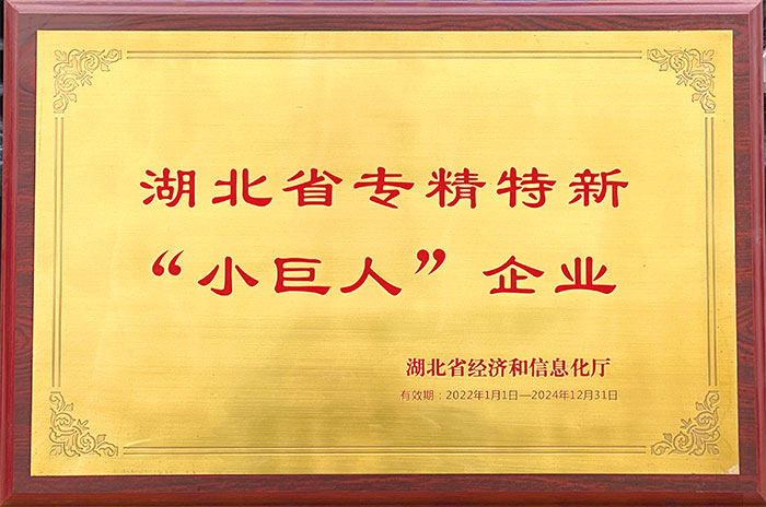 湖北省專精特新小巨人企業